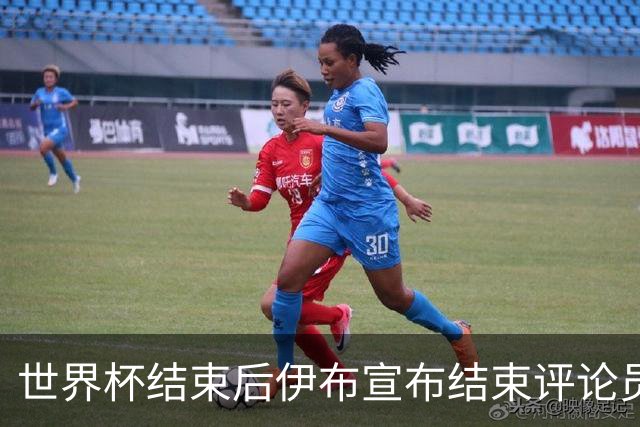 世界杯结束后伊布宣布结束评论员生涯：这是第一次，也是最后一次