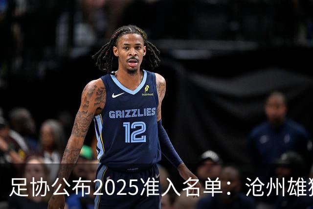 足协公布2025准入名单：沧州雄狮、广州队无缘