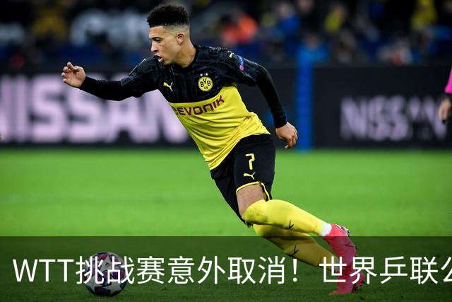 WTT挑战赛意外取消！世界乒联公开道歉，索林回应感到无奈